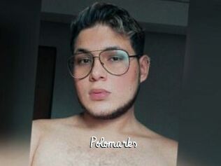Polomarks