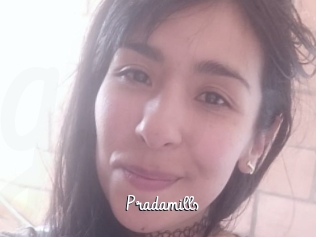 Pradamills