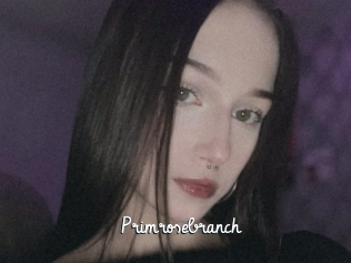 Primrosebranch