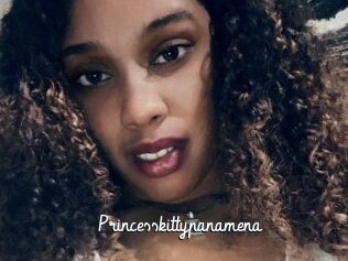 Princesskittypanamena
