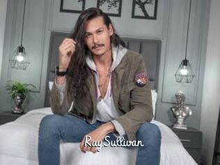 RaySullivan
