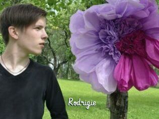 Rodrigie