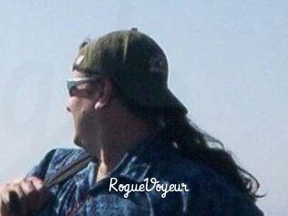 RogueVoyeur
