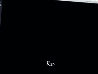 Rzs