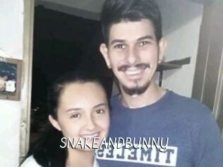 SNAKEANDBUNNY
