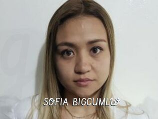 SOFIA_BIGCUMLW