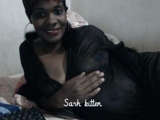 Sash_kitten