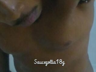 Saucegottia18g