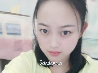 Scindapsus