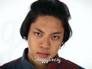 ShaggyCozzy