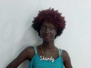 Shandy