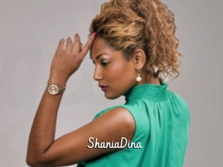 ShaniaDina Galerie du Sexe