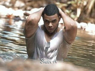 Shein_A