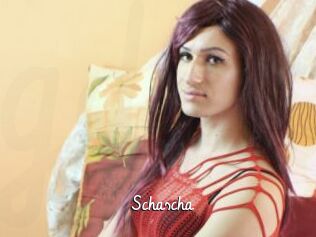 Schascha