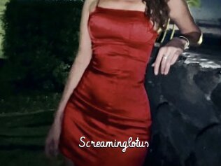 Screaminglotus