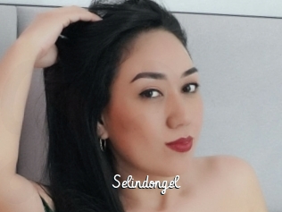 Selindongel