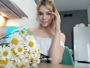 sensei Galerie du Sexe