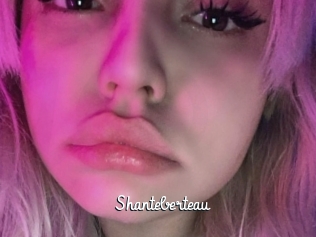 Shanteberteau