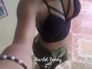 Sharlot_bunny