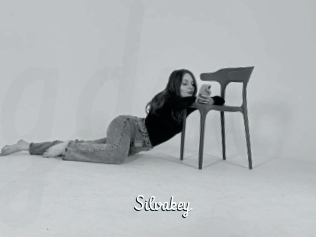 Silvakey
