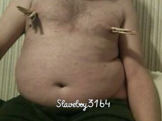 Slaveboy3164