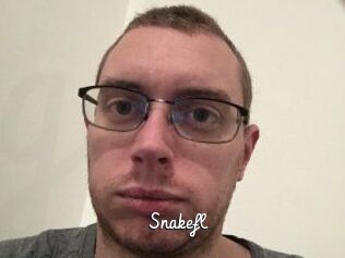 Snakefl
