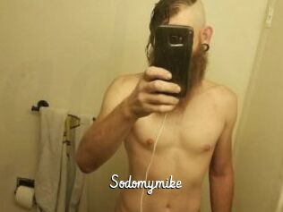 Sodomymike