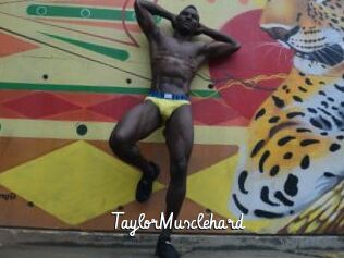 TaylorMusclehard