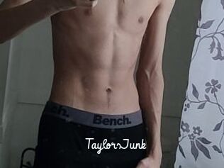 TaylorsJunk