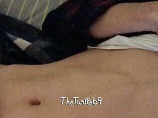 TheTurtle69
