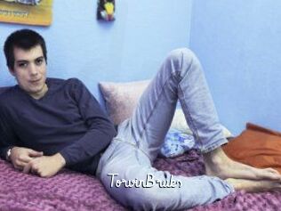 TorvinBruks