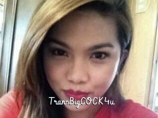 TransBigCOCK4u