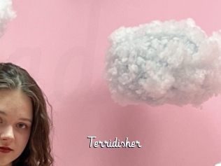 Terridisher