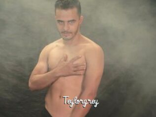 Teylorgrey