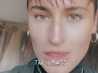 The_stallion55