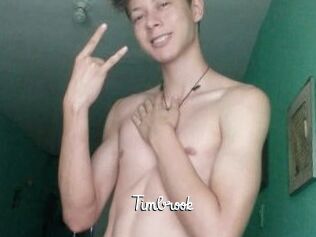 Timbrook