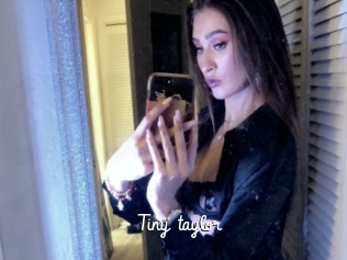 Tiny_taylor