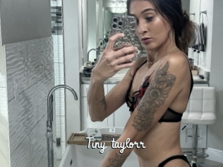 Tiny_taylorr