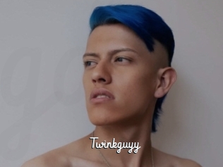 Twinkguyy
