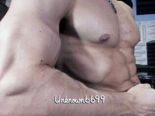 Unknown6699