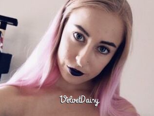 VelvetDaisy
