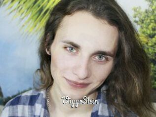 ViggoStein