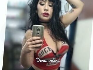 Venusvelvet