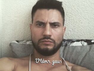 Vldmr_gaus