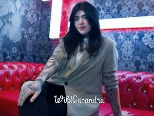 WildCasandra
