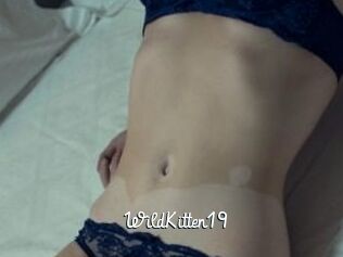 Wild_Kitten19