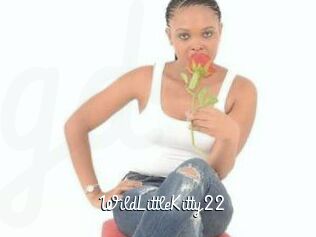 WildLittleKitty22