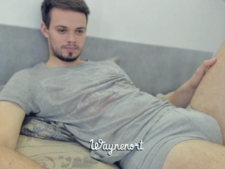 Waynenort