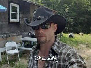 Wildcowboy