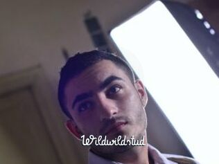 Wildwildstud